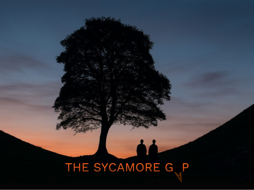 THE SYCAMORE GAP
